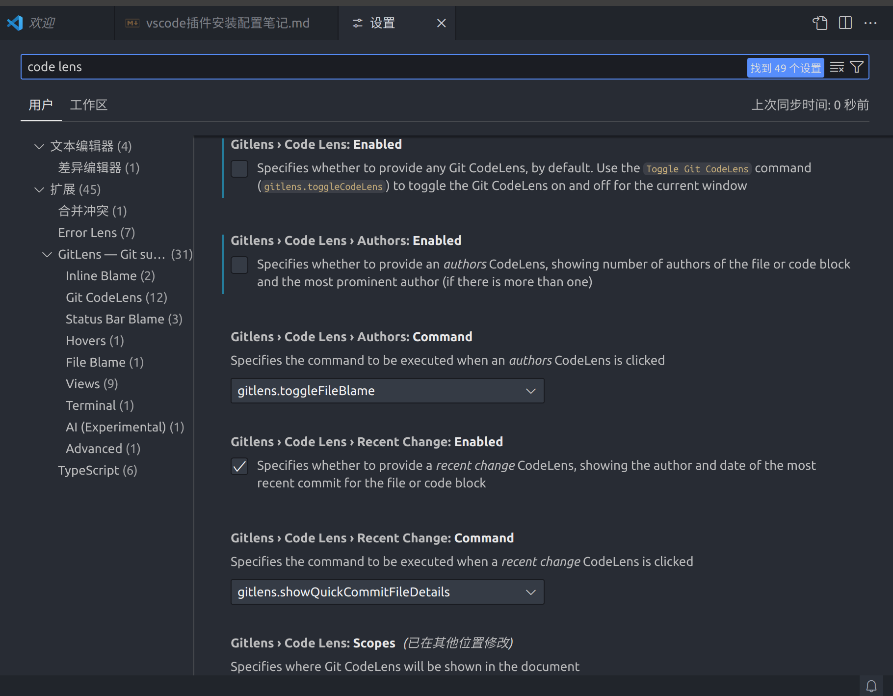code lens.png